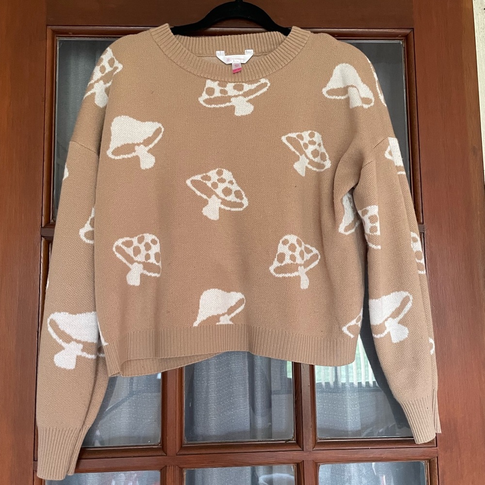 No Boundaries- Y2K Style Cropped Mushroom Sweater